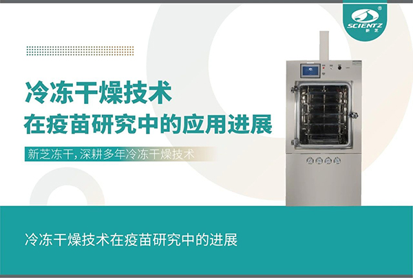 冷凍干燥技術(shù)在疫苗研究中的應(yīng)用進展