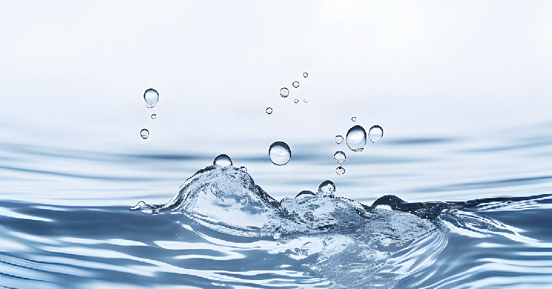 水污染微生物降解評估