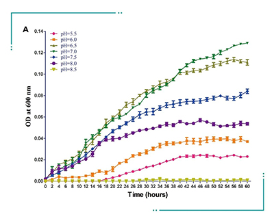 實驗數(shù)據(jù)