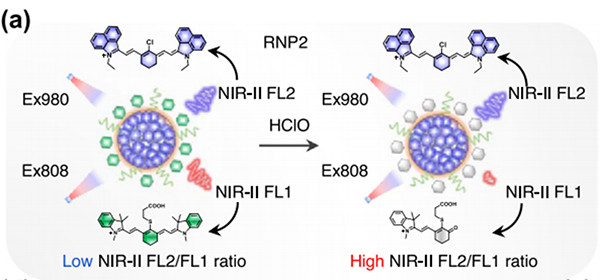 實(shí)驗(yàn)數(shù)據(jù)